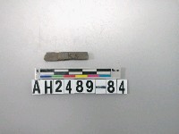 藏品(磨製石針)的圖片